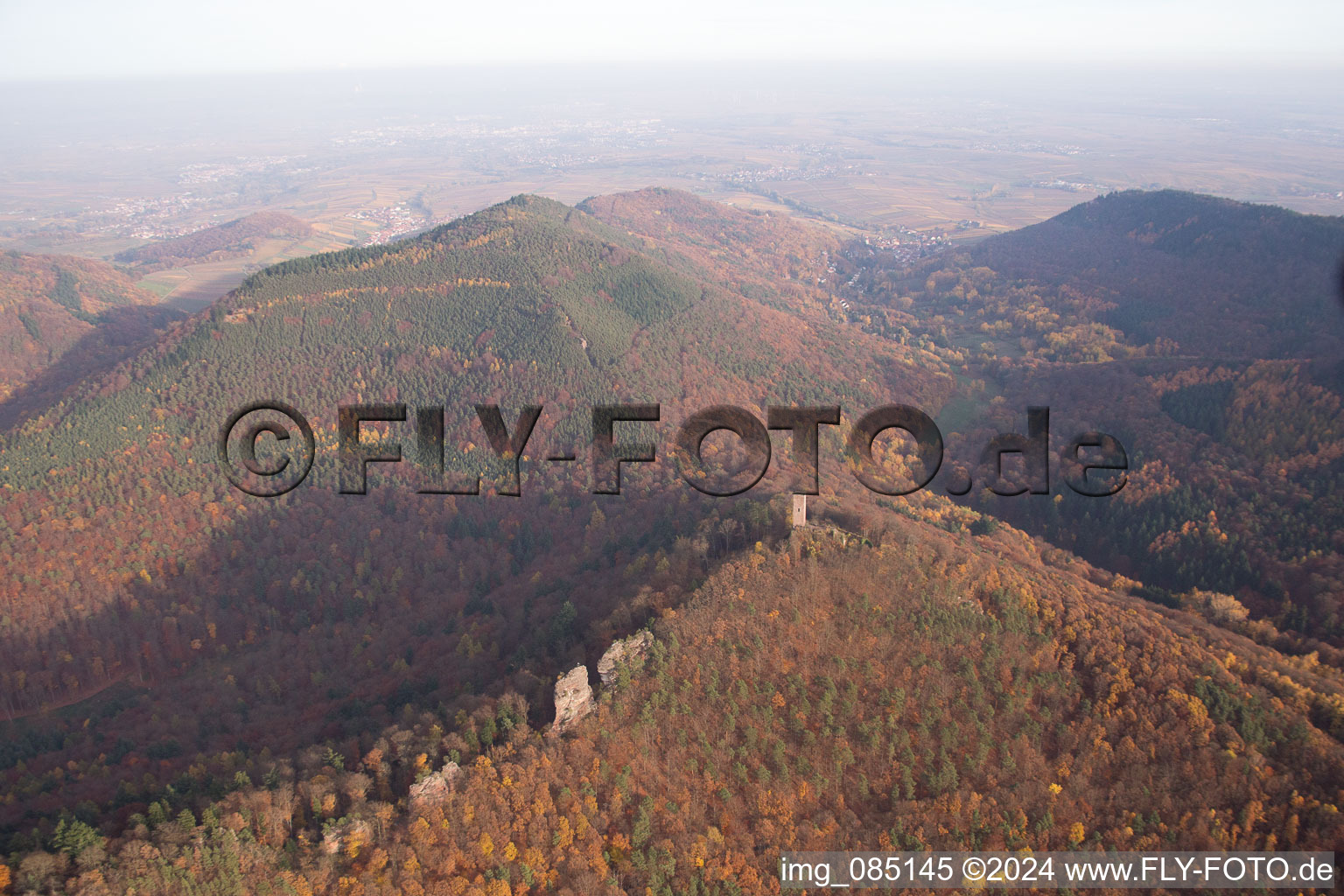 Vue aérienne de Ruines du château Anebos Jungturm et Scharfenberg à Leinsweiler dans le département Rhénanie-Palatinat, Allemagne