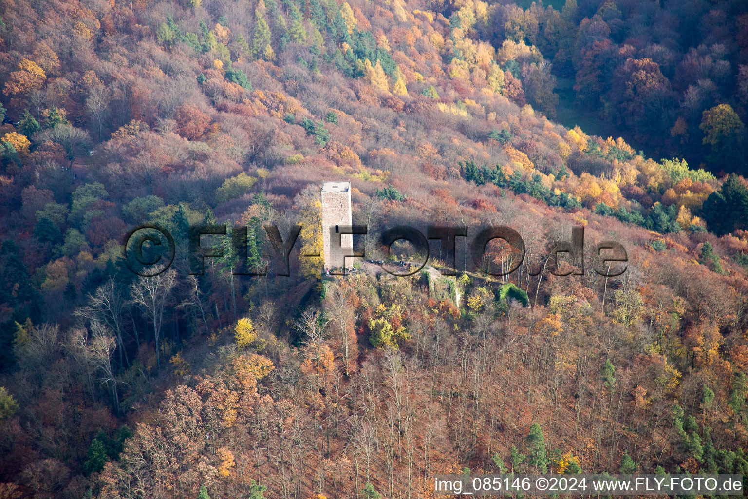 Vue aérienne de Ruines du château de Scharfenberg, appelé « Münz à Leinsweiler dans le département Rhénanie-Palatinat, Allemagne