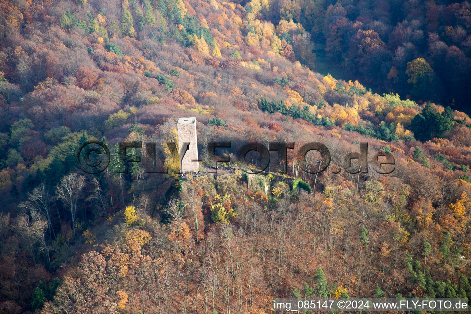 Vue aérienne de Ruines du château de Scharfenberg, appelé « Münz à Leinsweiler dans le département Rhénanie-Palatinat, Allemagne