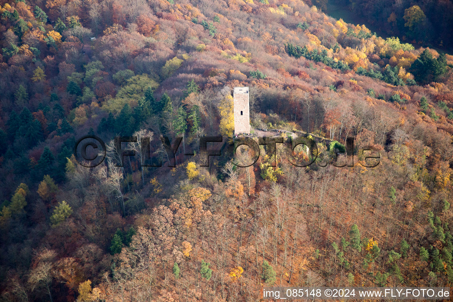 Photographie aérienne de Ruines du château de Scharfenberg, appelé « Münz à Leinsweiler dans le département Rhénanie-Palatinat, Allemagne