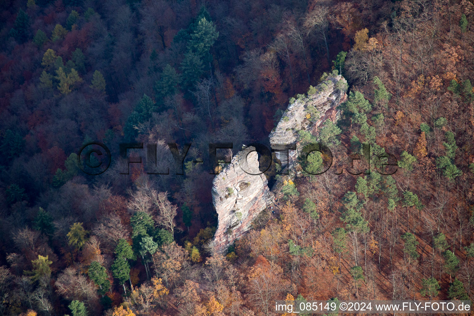 Vue aérienne de Ruines du château de la Jungturm à Leinsweiler dans le département Rhénanie-Palatinat, Allemagne