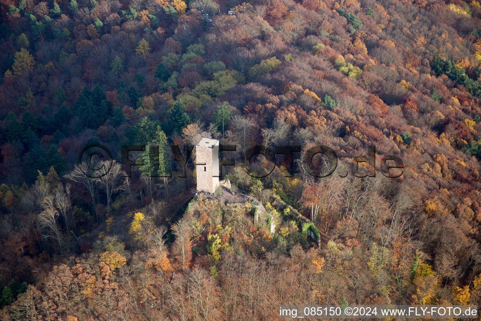 Vue aérienne de Quartier Bindersbach in Annweiler am Trifels dans le département Rhénanie-Palatinat, Allemagne