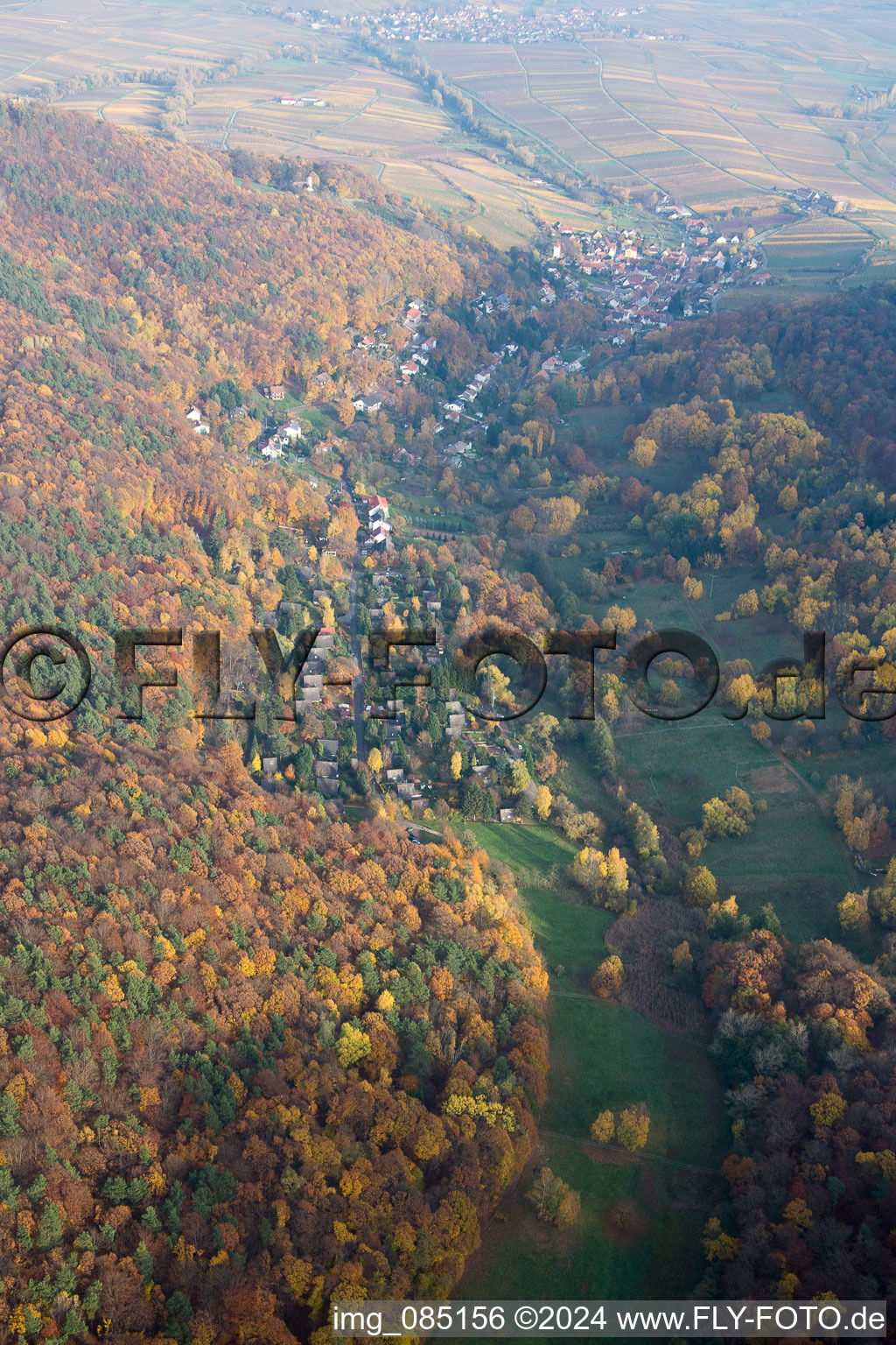 Vue oblique de Vallée de Birnbachtal à Leinsweiler dans le département Rhénanie-Palatinat, Allemagne