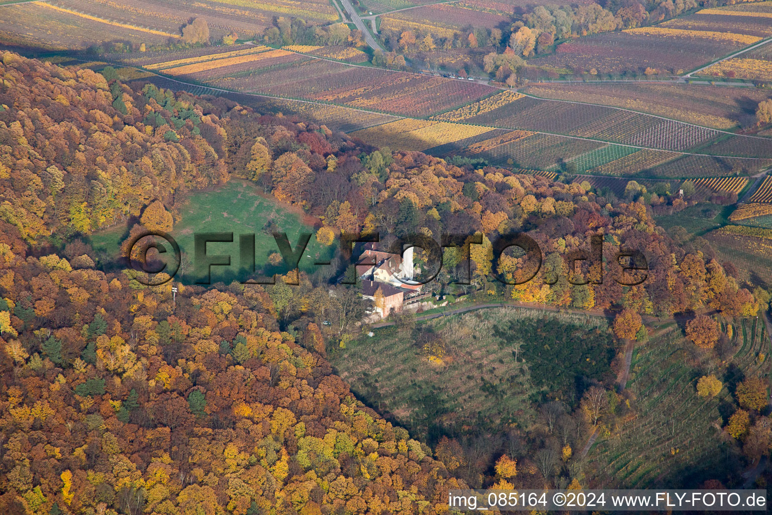 Vue aérienne de Slevogthof à Leinsweiler dans le département Rhénanie-Palatinat, Allemagne