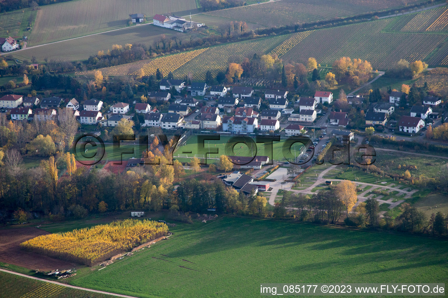 Vue oblique de Terrains de sport à le quartier Ingenheim in Billigheim-Ingenheim dans le département Rhénanie-Palatinat, Allemagne
