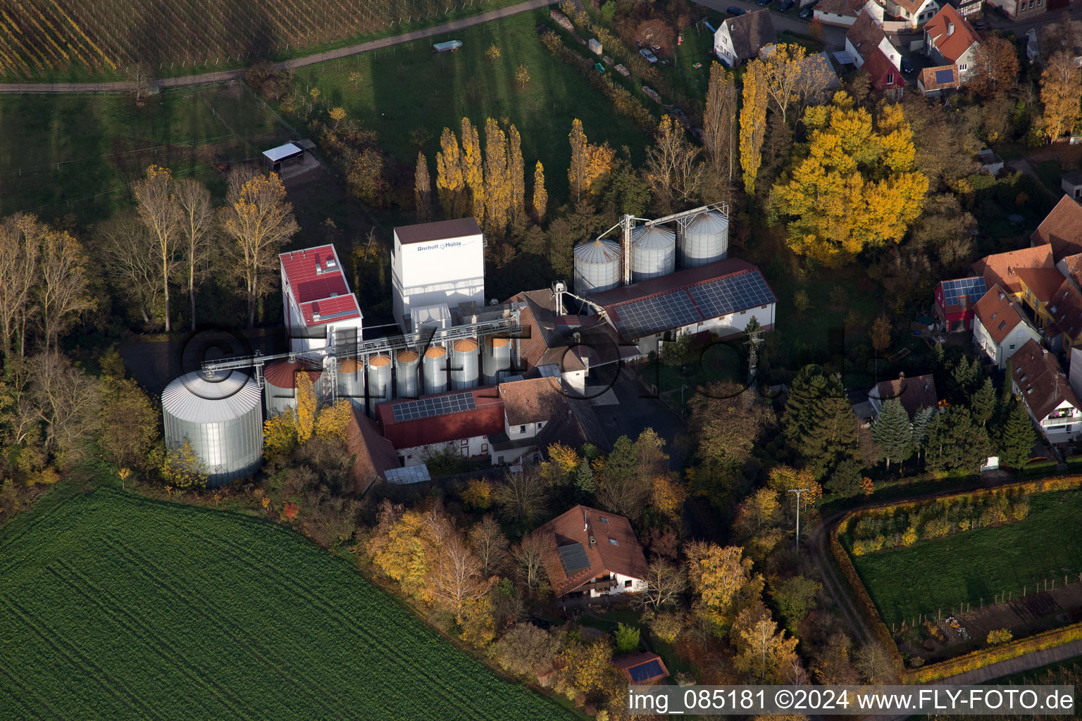 Vue oblique de Bischoff-Mühl à le quartier Appenhofen in Billigheim-Ingenheim dans le département Rhénanie-Palatinat, Allemagne