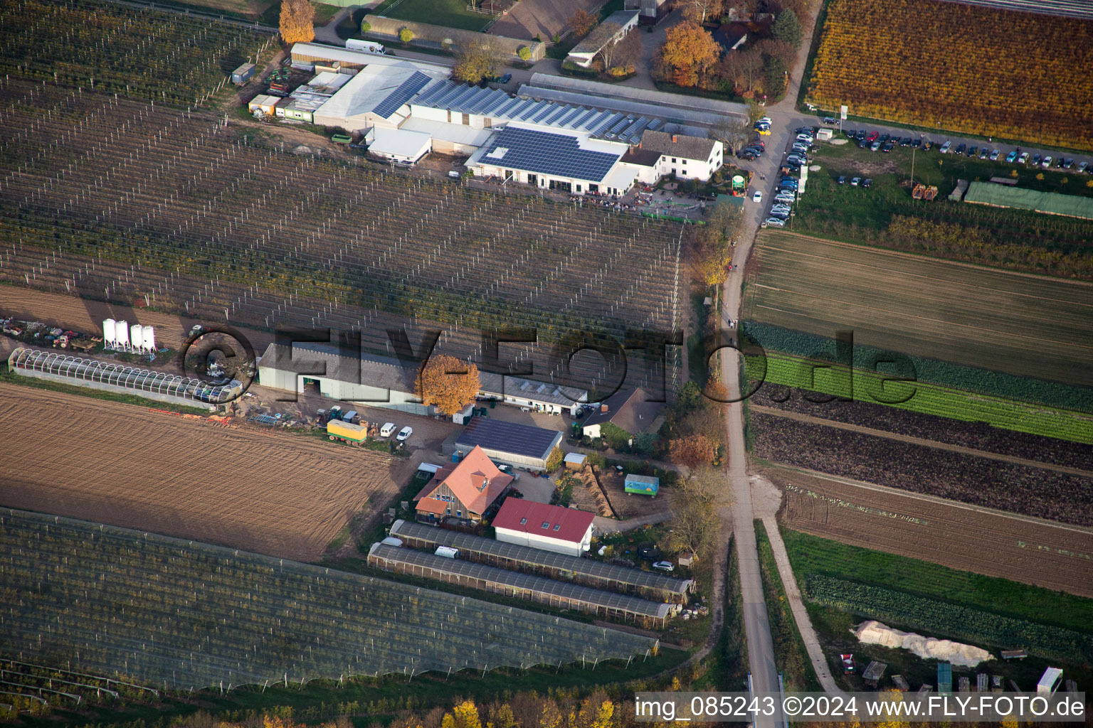 Kandel dans le département Rhénanie-Palatinat, Allemagne vue du ciel