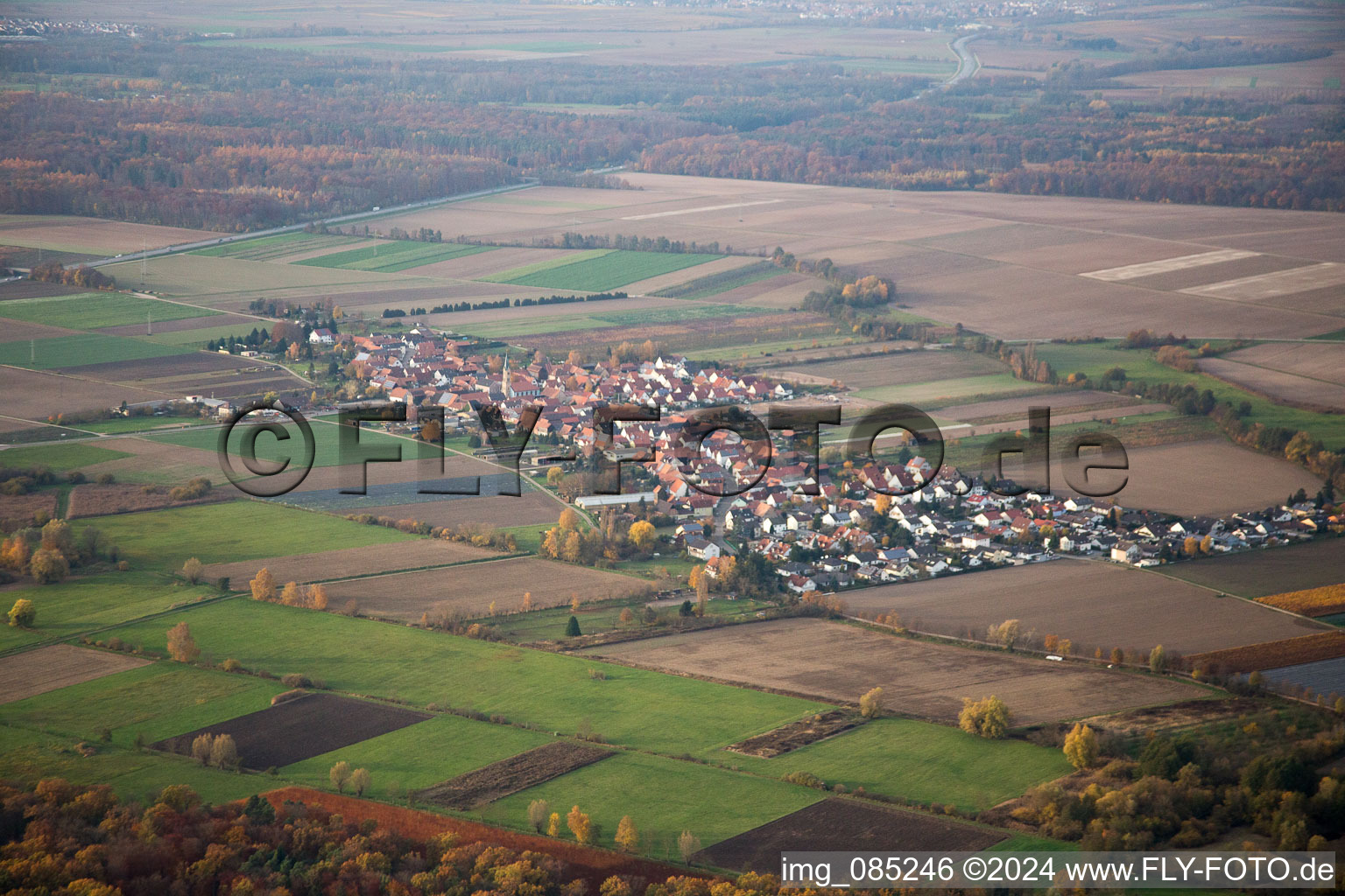 Vue aérienne de Du sud-est à Erlenbach bei Kandel dans le département Rhénanie-Palatinat, Allemagne