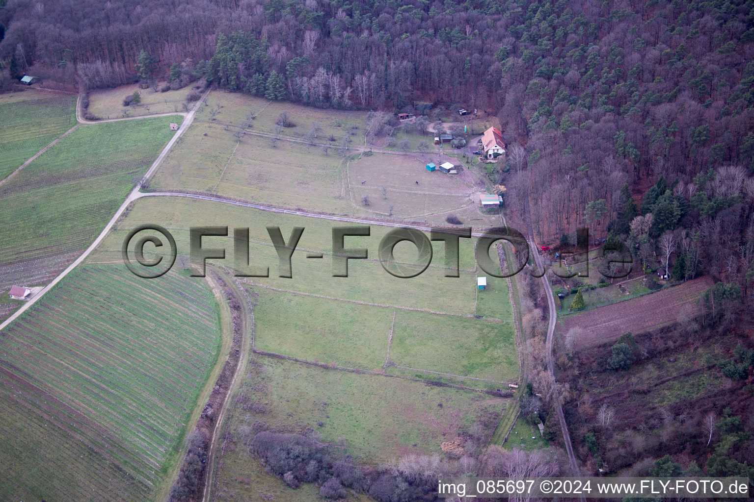 Vue aérienne de FeWo Saigenranch à Pleisweiler-Oberhofen dans le département Rhénanie-Palatinat, Allemagne