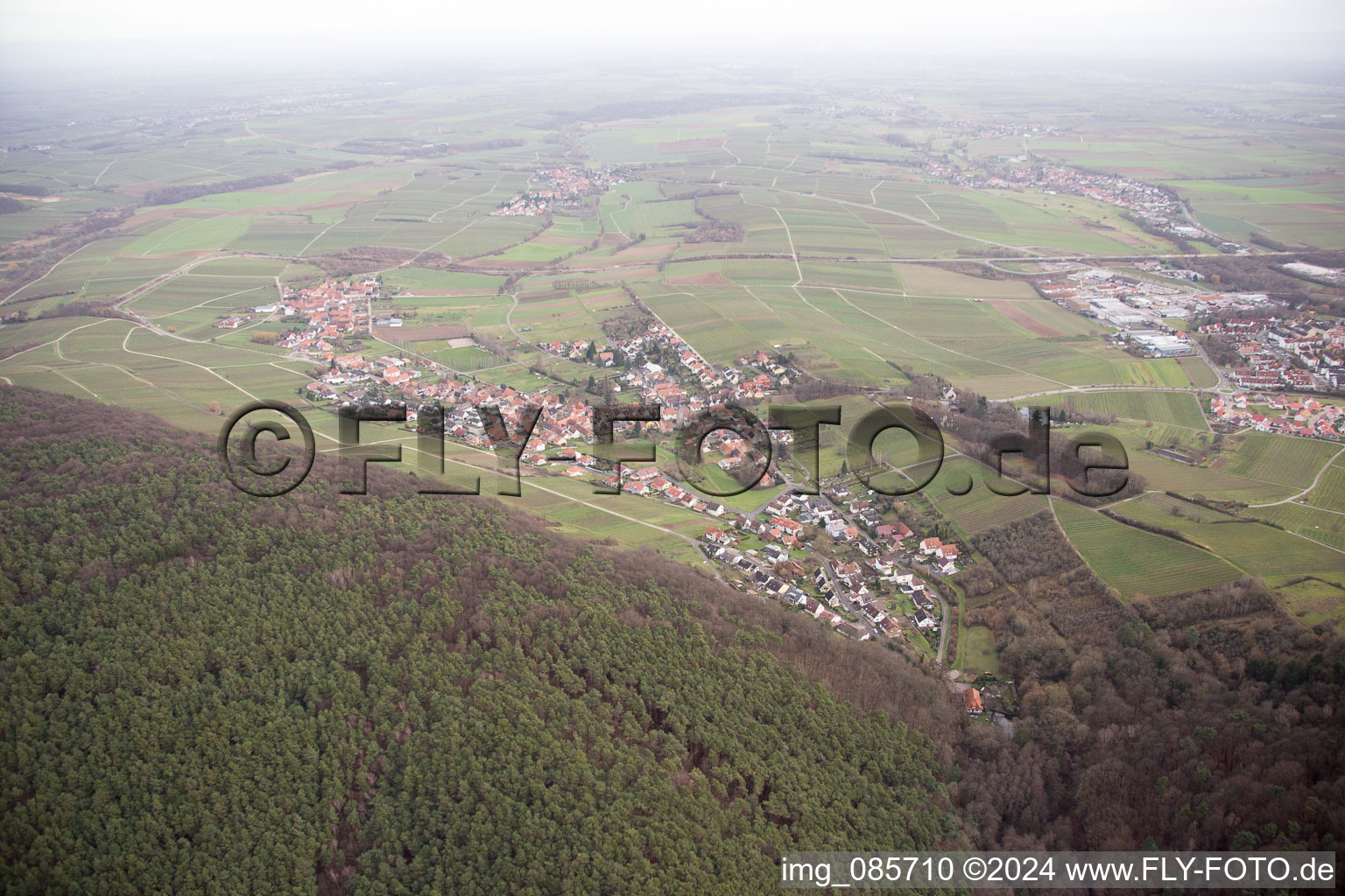 Photographie aérienne de Quartier Pleisweiler in Pleisweiler-Oberhofen dans le département Rhénanie-Palatinat, Allemagne