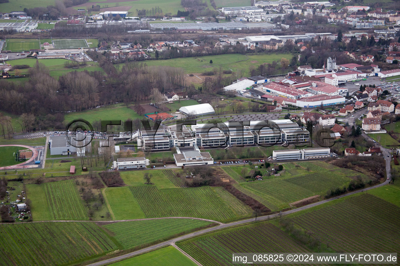 Vue aérienne de Centre scolaire à Wissembourg dans le département Bas Rhin, France