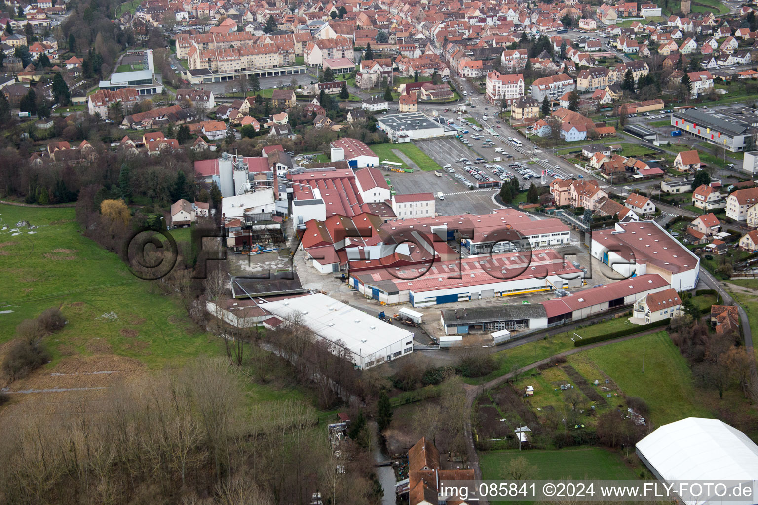 Vue aérienne de Burstner SA à Wissembourg dans le département Bas Rhin, France