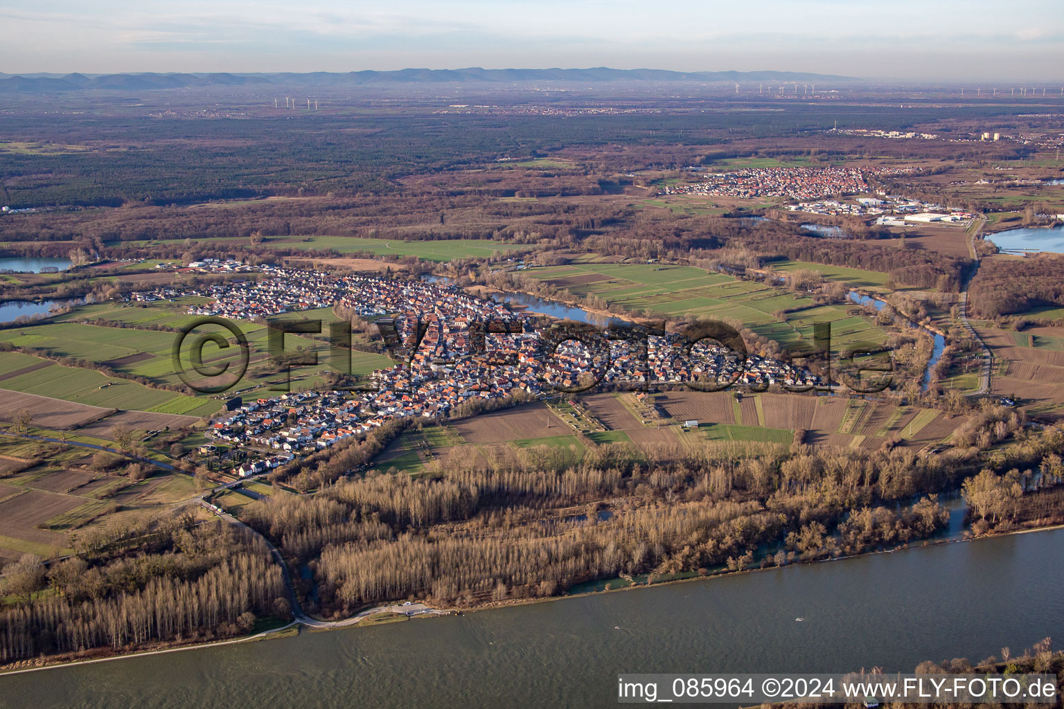 Vue aérienne de Du sud-est à le quartier Neuburg in Neuburg am Rhein dans le département Rhénanie-Palatinat, Allemagne