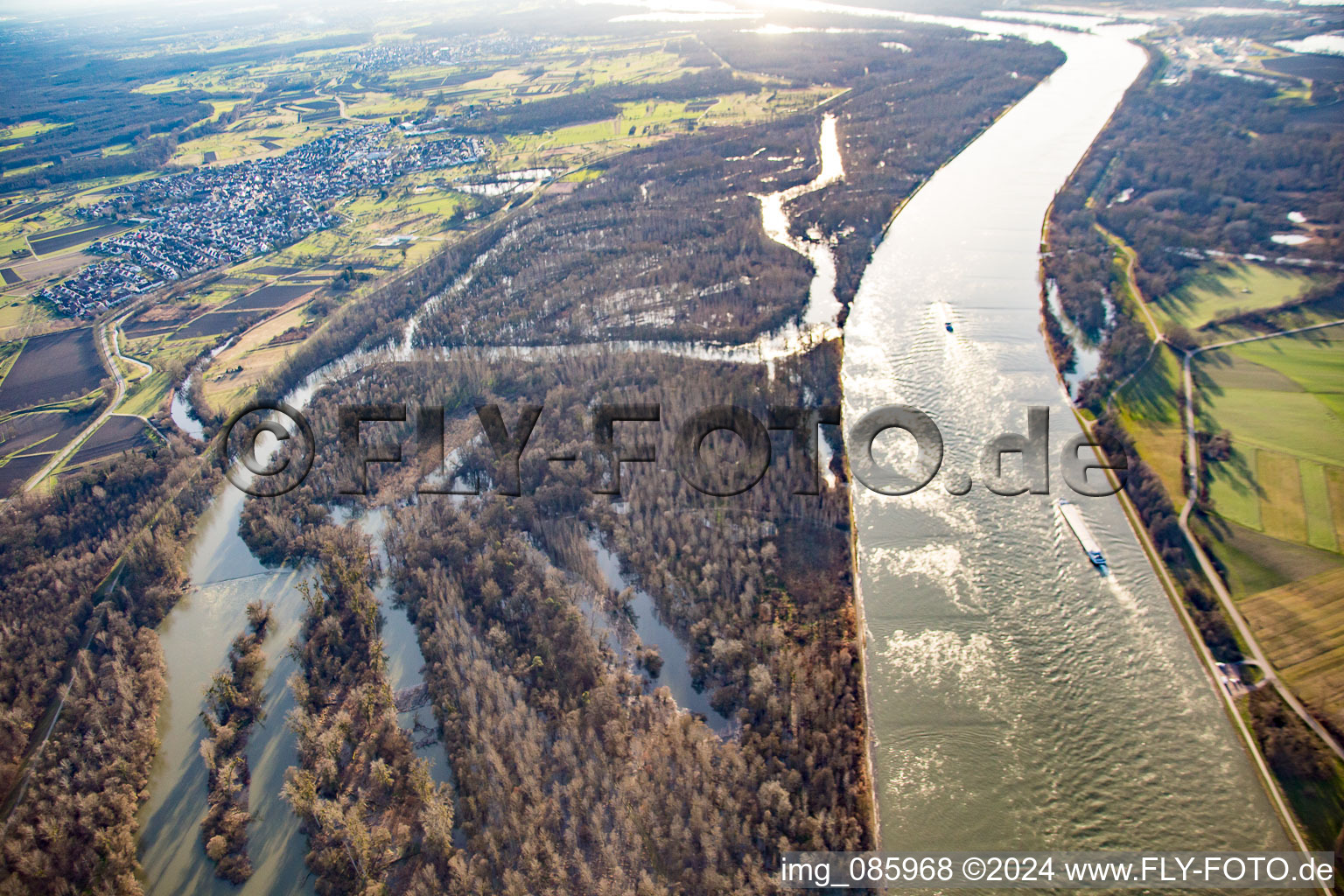 Vue aérienne de Auer Köpfle Illinger Altrheinauen à Au am Rhein dans le département Bade-Wurtemberg, Allemagne