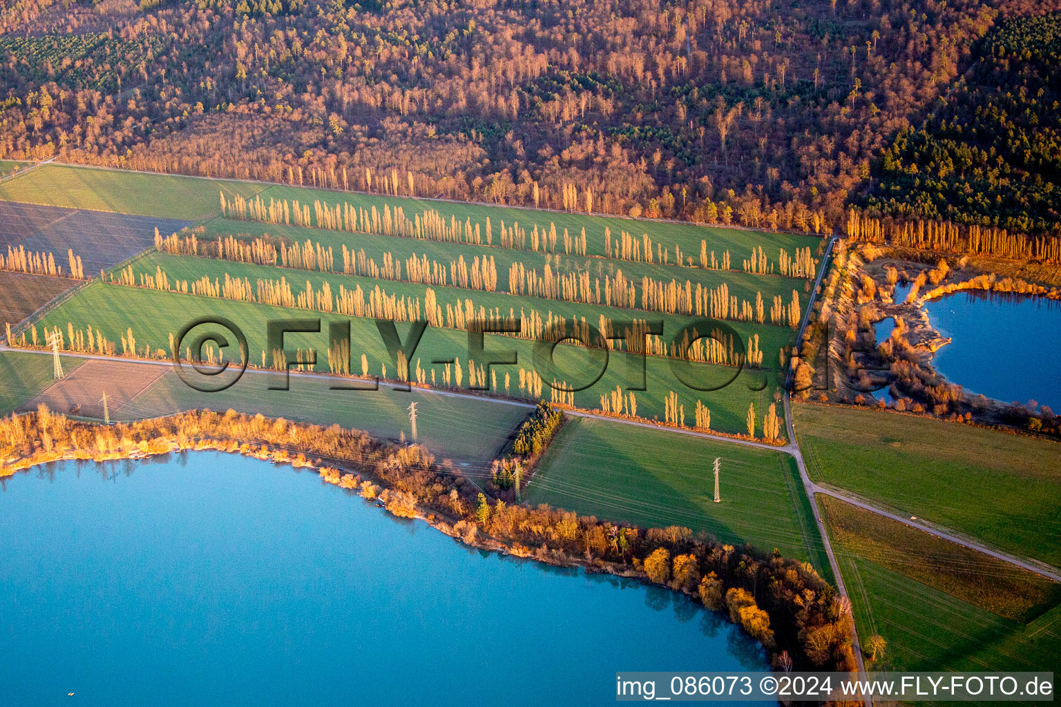 Vue aérienne de Zones riveraines d'hiver sur la région du lac Kiesweier avec des rangées de peupliers et des lignes électriques à haute tension dans la lumière du soir à Durmersheim dans le département Bade-Wurtemberg, Allemagne