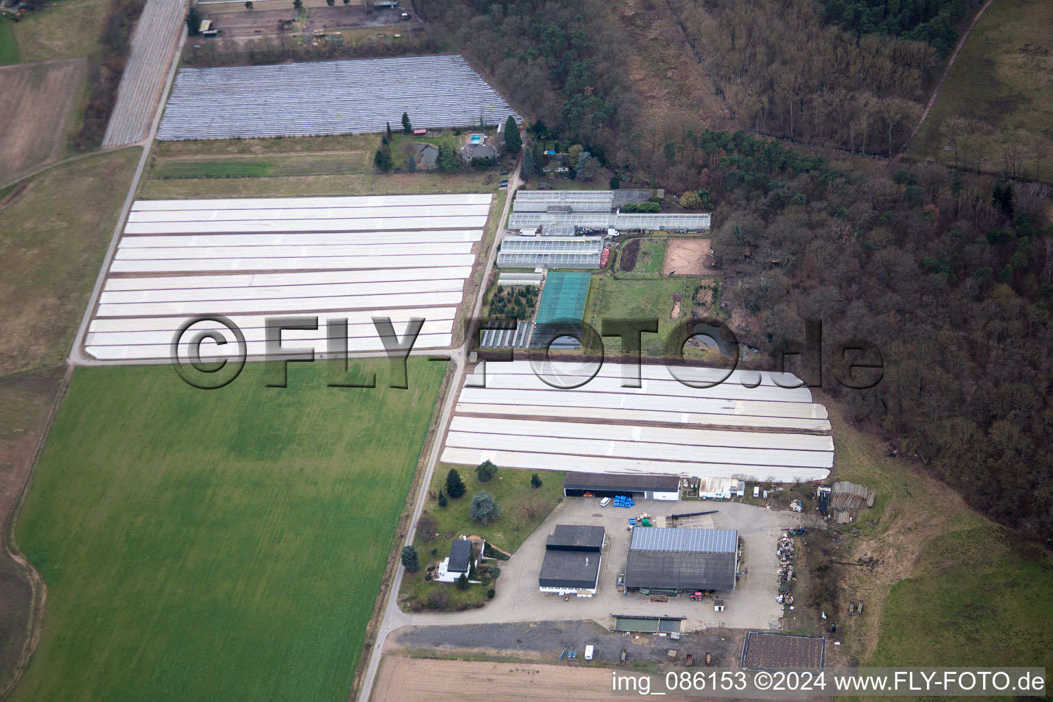 Hanhofen dans le département Rhénanie-Palatinat, Allemagne vue d'en haut