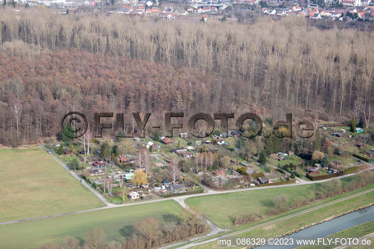 Vue aérienne de Jardins familiaux au bord du canal de Saalbach à le quartier Graben in Graben-Neudorf dans le département Bade-Wurtemberg, Allemagne