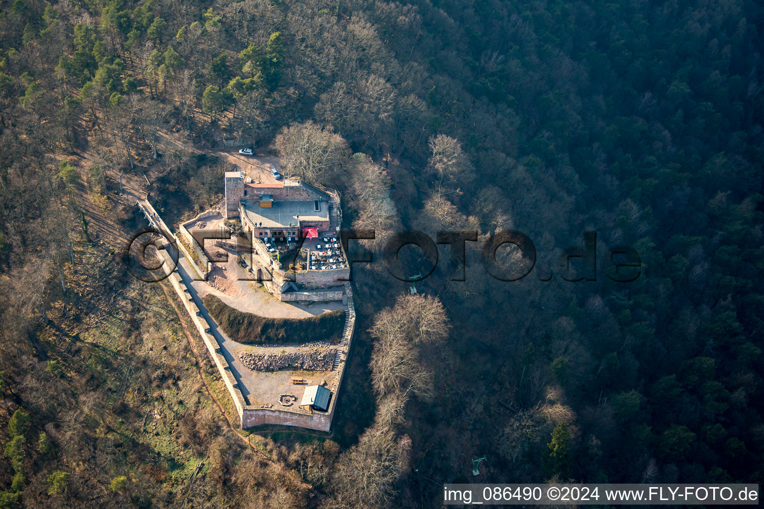 Rietbourg à Rhodt unter Rietburg dans le département Rhénanie-Palatinat, Allemagne d'en haut