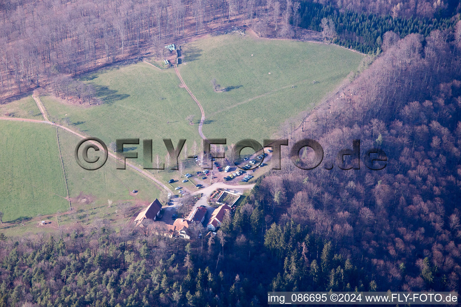 Gimbelhof à Wingen dans le département Bas Rhin, France d'en haut