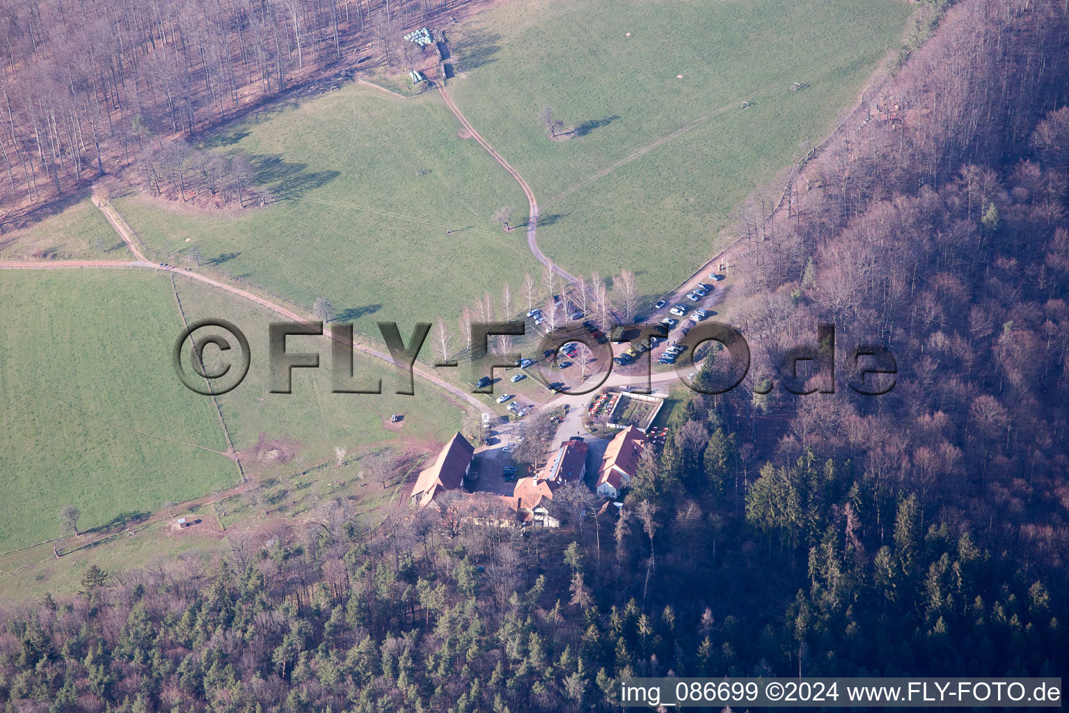 Vue d'oiseau de Gimbelhof à Wingen dans le département Bas Rhin, France