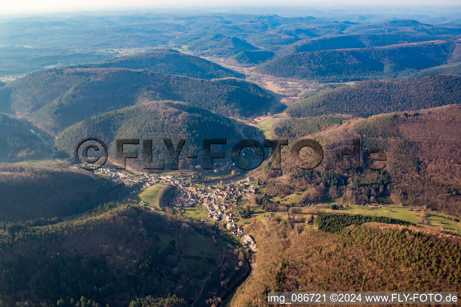 Vue aérienne de Schönau dans le département Rhénanie-Palatinat, Allemagne