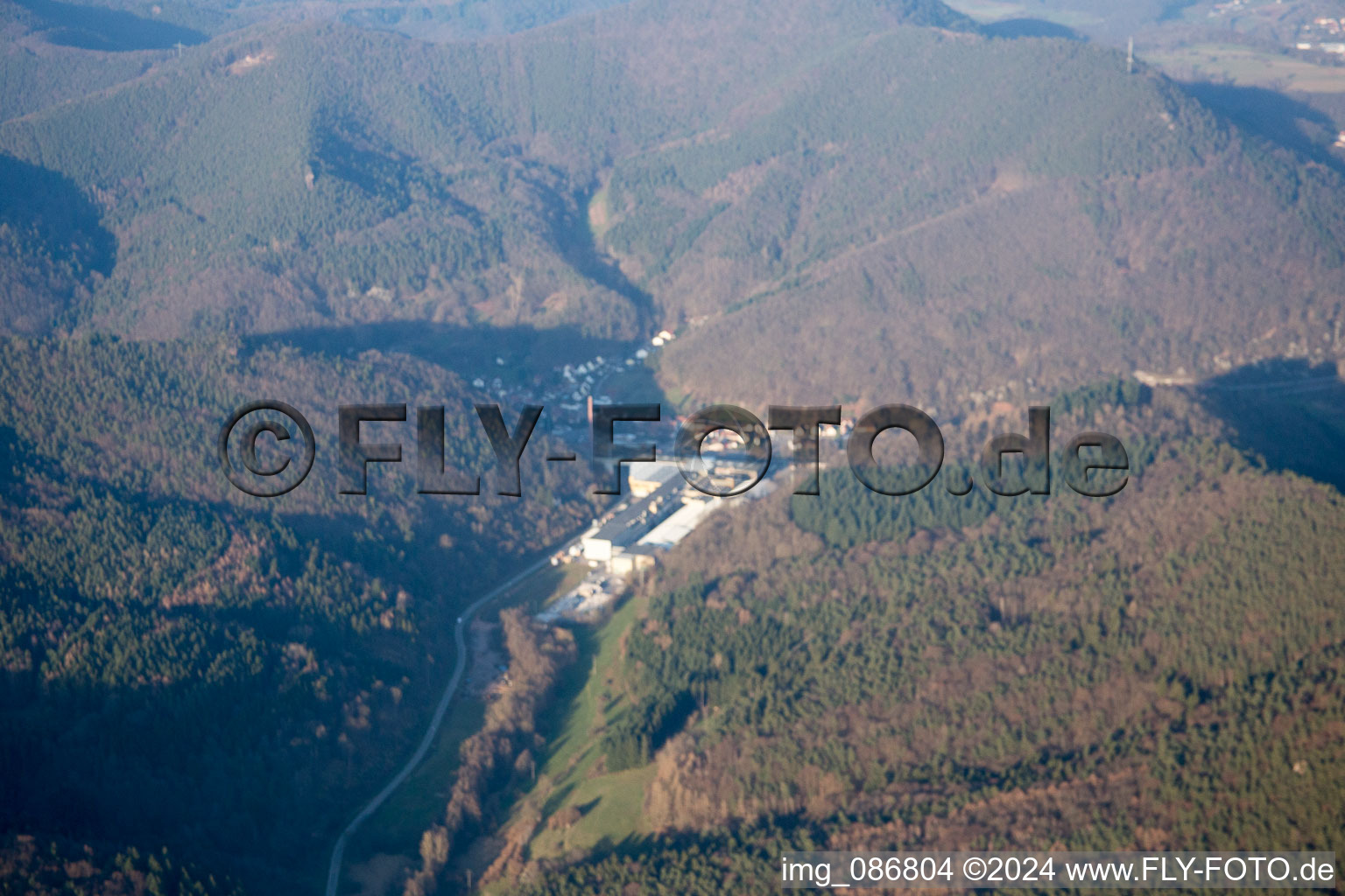 Rinnthal dans le département Rhénanie-Palatinat, Allemagne depuis l'avion