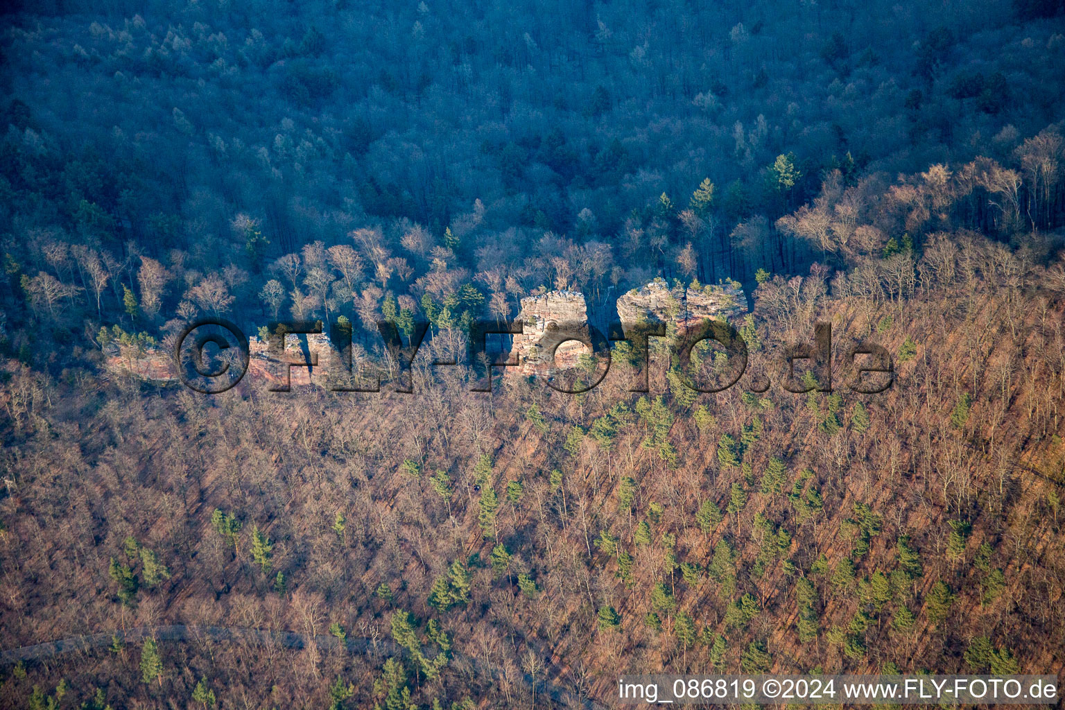 Vue aérienne de Ruines du château de la Jungturm à Leinsweiler dans le département Rhénanie-Palatinat, Allemagne