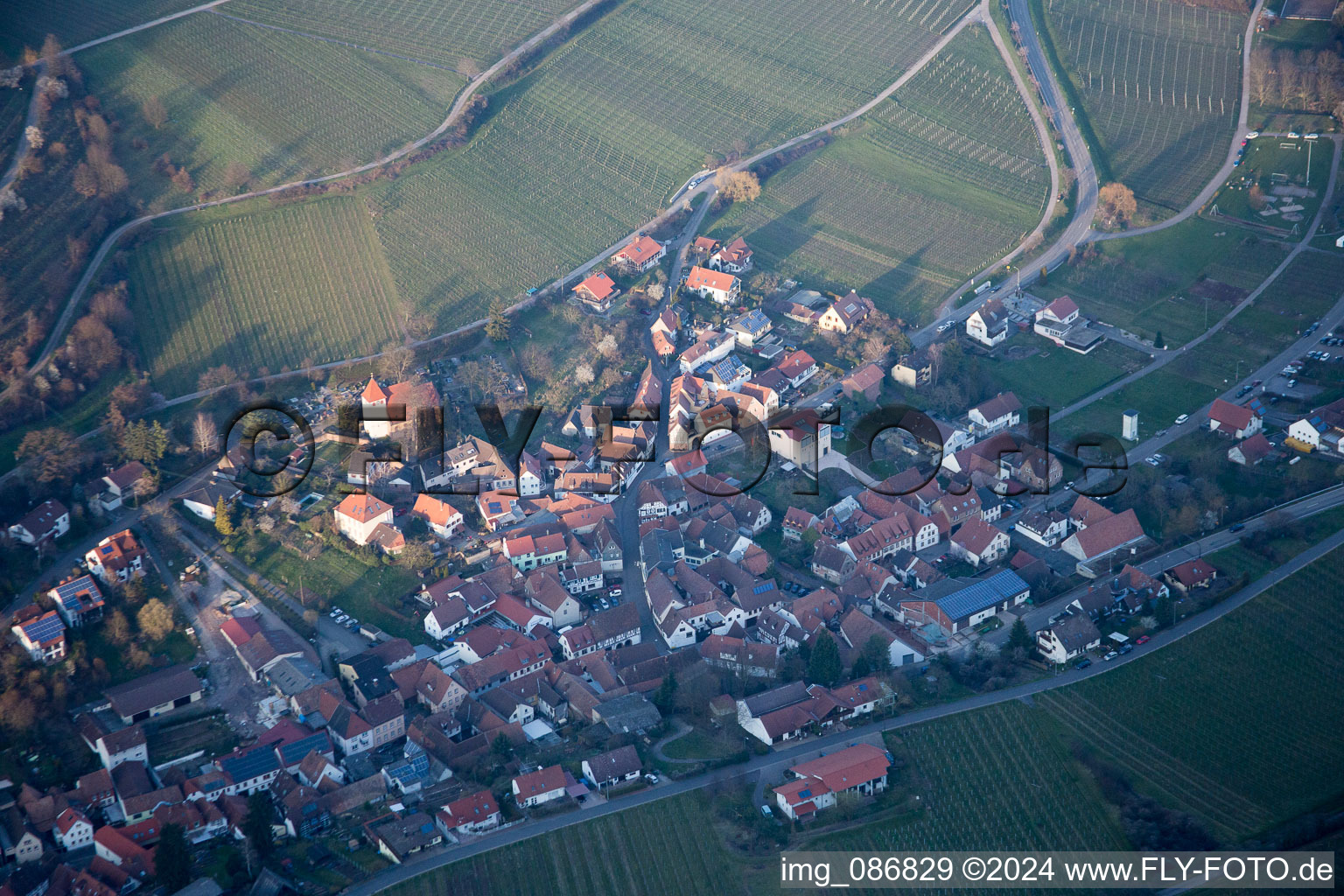 Vue d'oiseau de Leinsweiler dans le département Rhénanie-Palatinat, Allemagne