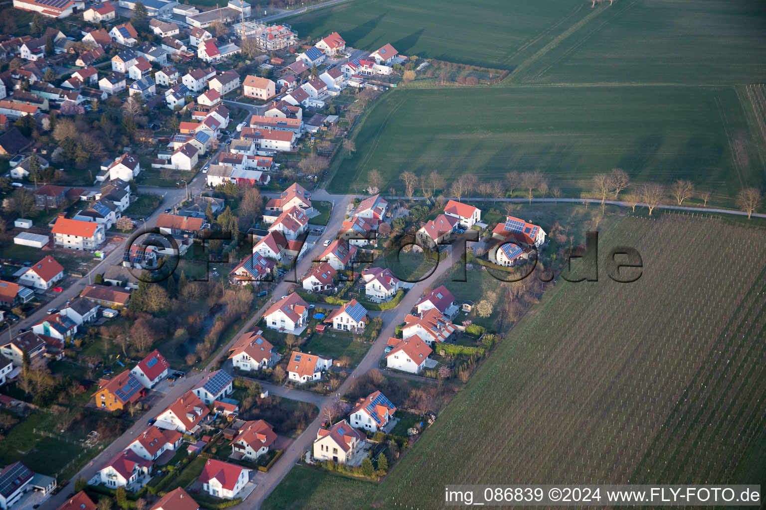 Vue d'oiseau de Quartier Mörzheim in Landau in der Pfalz dans le département Rhénanie-Palatinat, Allemagne