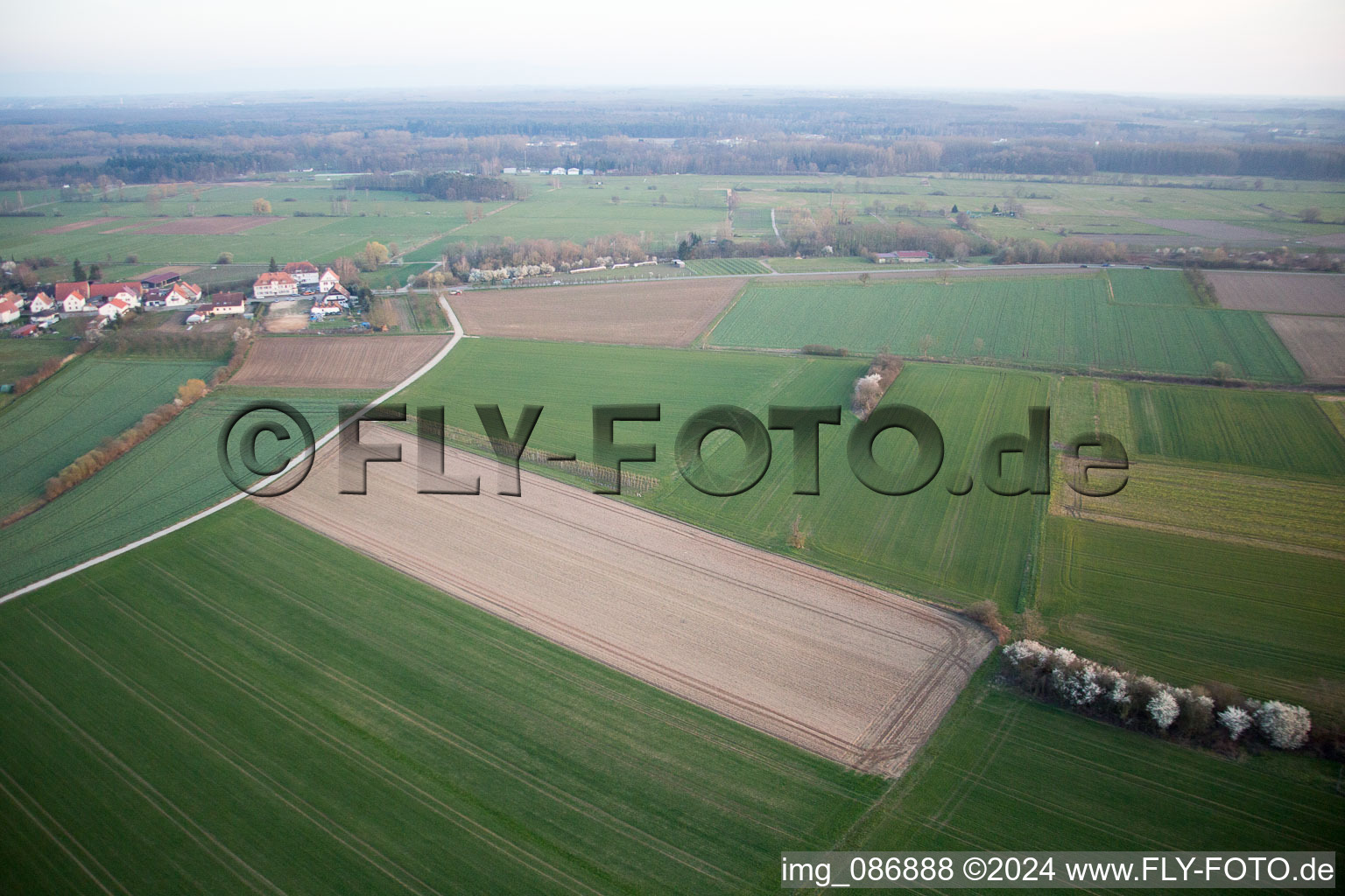 Schweighofen dans le département Rhénanie-Palatinat, Allemagne vue d'en haut