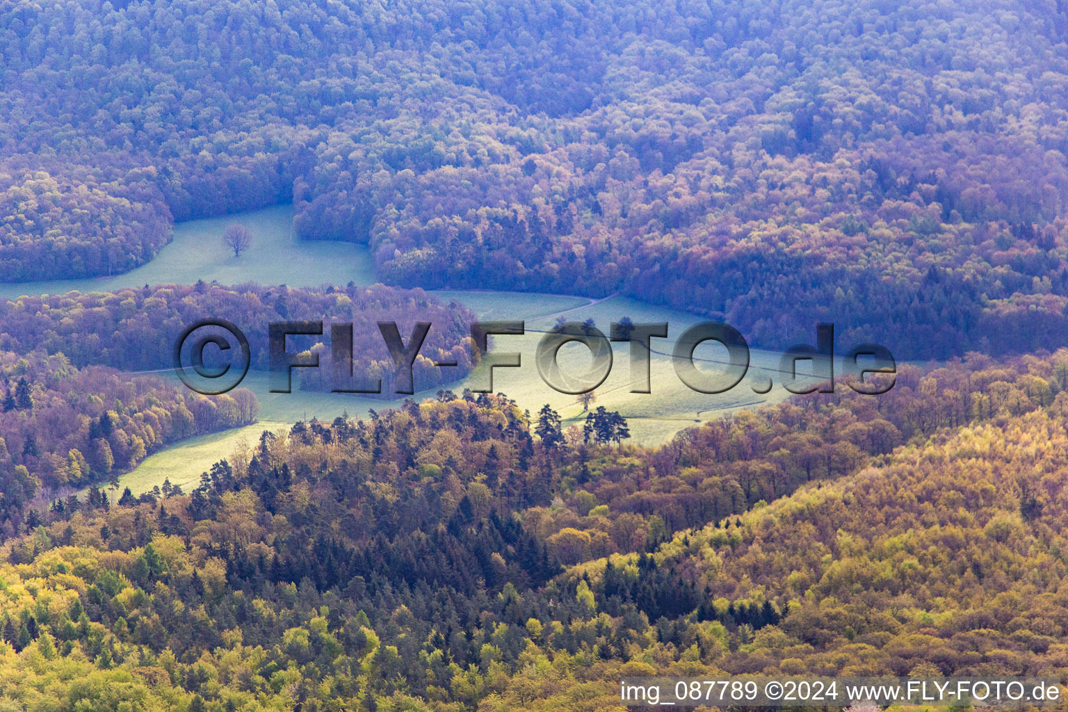 Vue aérienne de Quartier Michelau in Michelau im Steigerwald dans le département Bavière, Allemagne