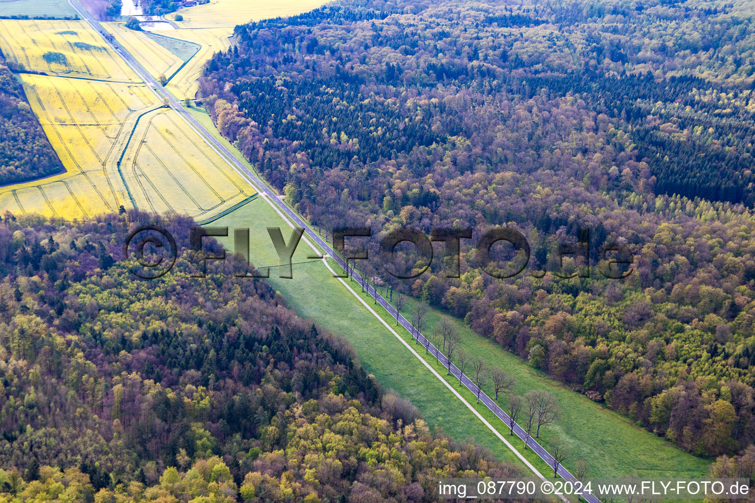 Vue aérienne de Bürgerwald dans le département Bavière, Allemagne