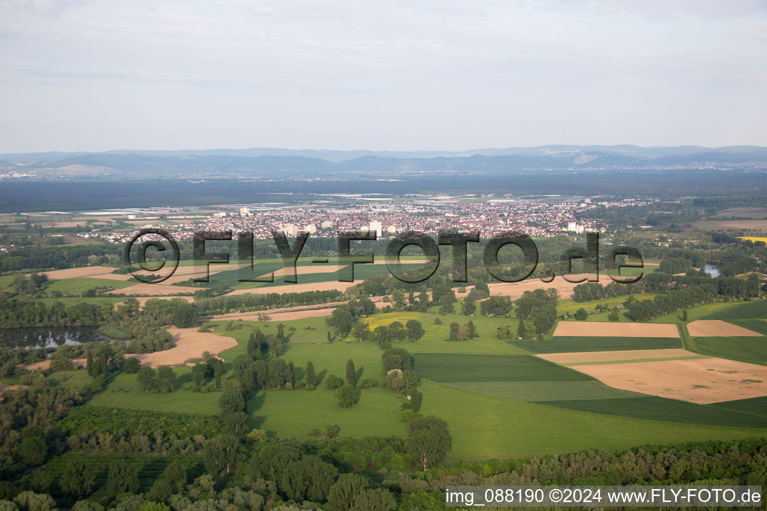 Vue d'oiseau de Lampertheim dans le département Hesse, Allemagne