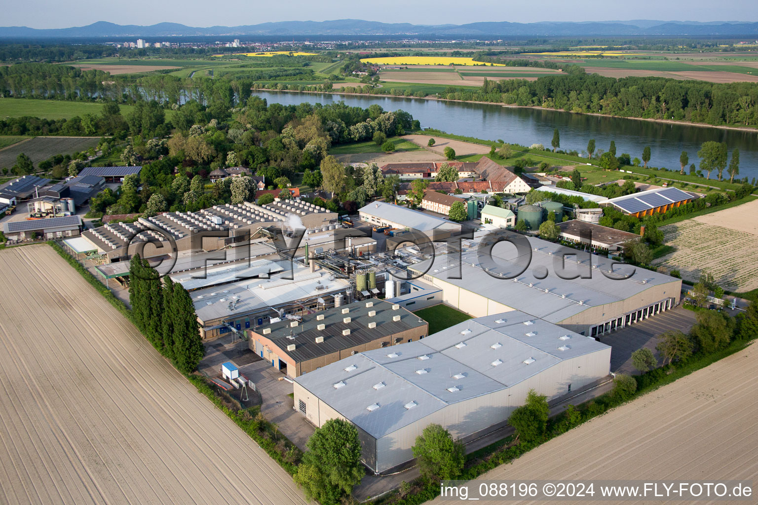 Photographie aérienne de Petersau dans le département Rhénanie-Palatinat, Allemagne