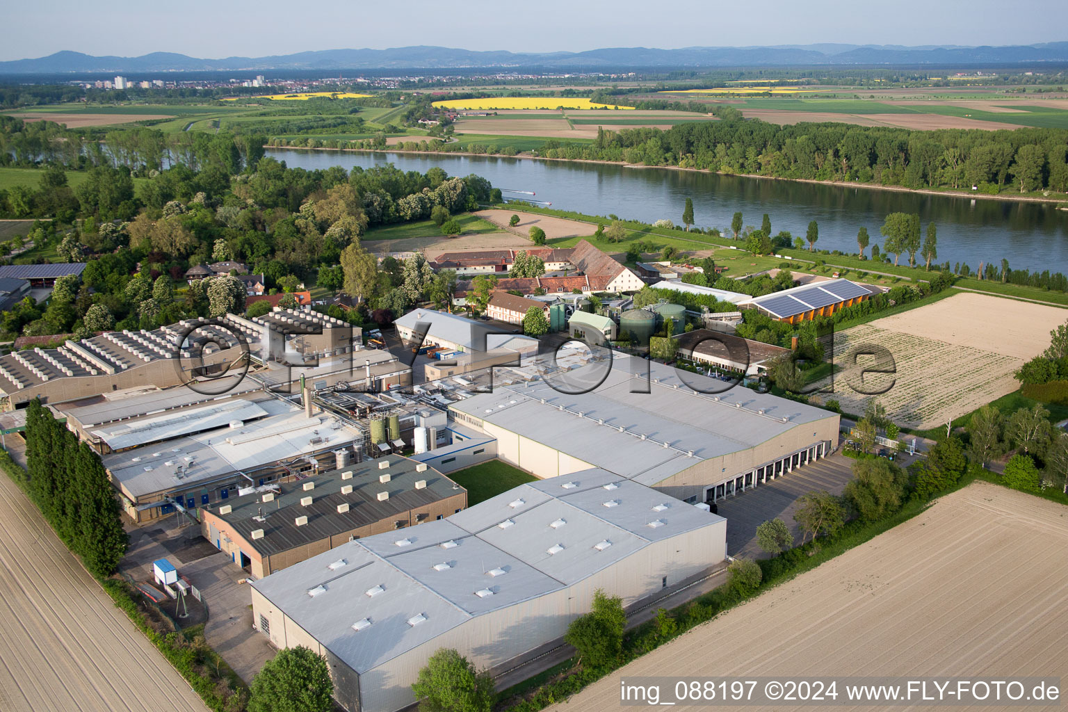 Vue oblique de Petersau dans le département Rhénanie-Palatinat, Allemagne