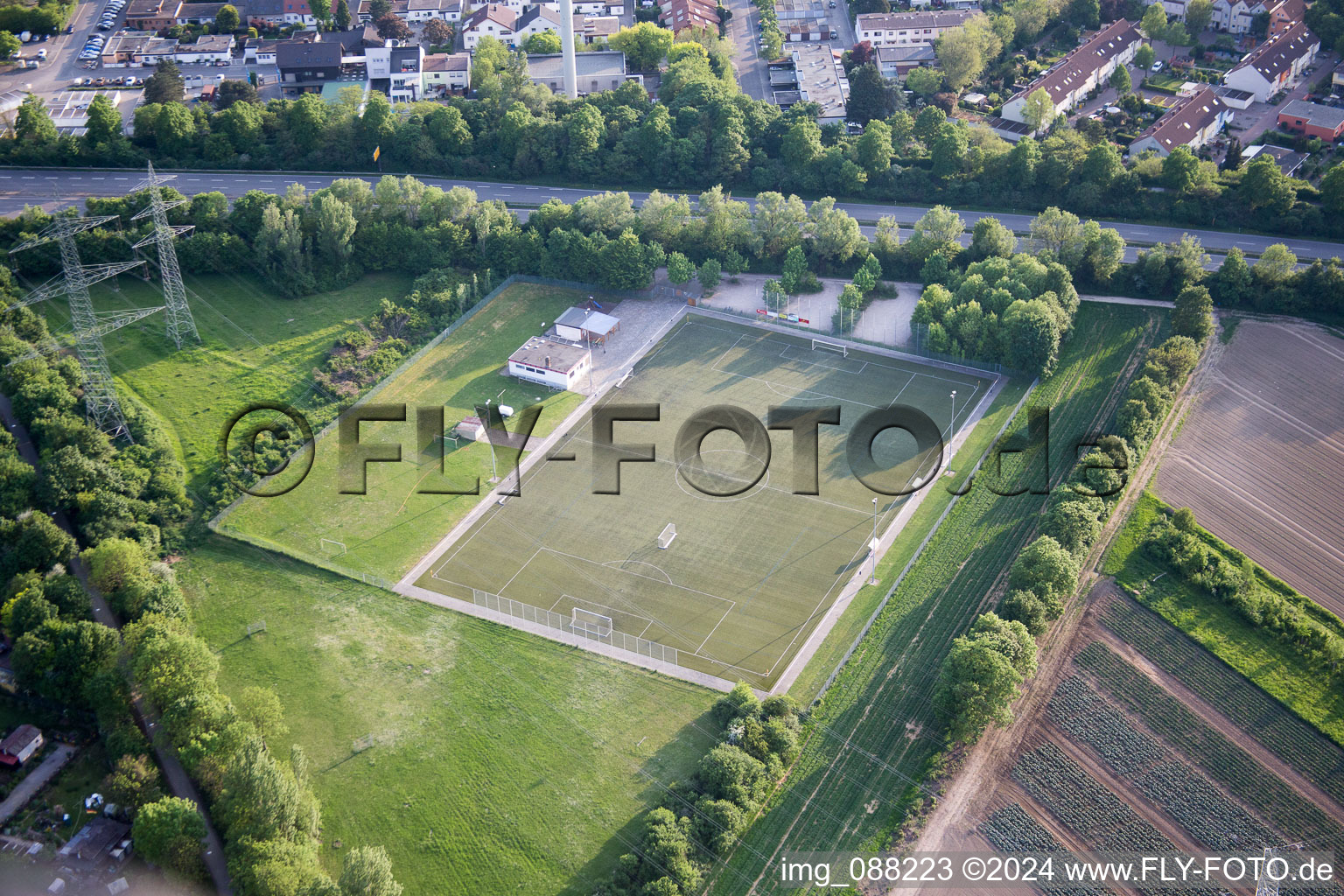 Vue aérienne de Saule de Pentecôte à Pfingtsweide dans le département Rhénanie-Palatinat, Allemagne