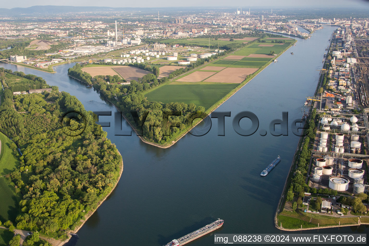 Vue aérienne de Île au bord du Rhin et du Vieux Rhin de Friesenheim dans le quartier de Friesenheimer Insel à le quartier Neckarstadt-West in Mannheim dans le département Bade-Wurtemberg, Allemagne