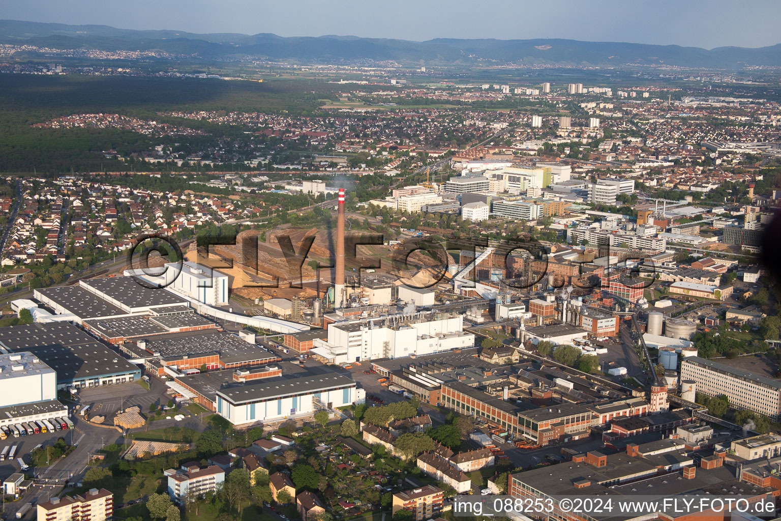 Vue aérienne de Essité à le quartier Sandhofen in Mannheim dans le département Bade-Wurtemberg, Allemagne