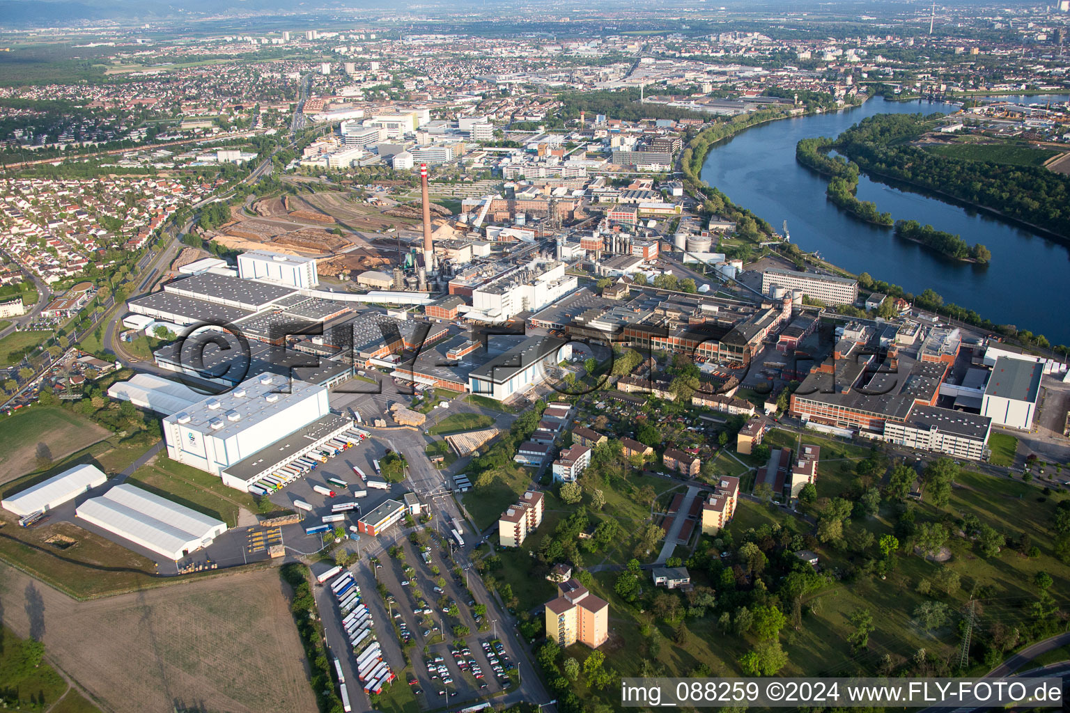 Photographie aérienne de Site de l'usine SCA HYGIENE PRODUCTS GmbH sur l'Altrhein dans le quartier de Waldhof à le quartier Sandhofen in Mannheim dans le département Bade-Wurtemberg, Allemagne