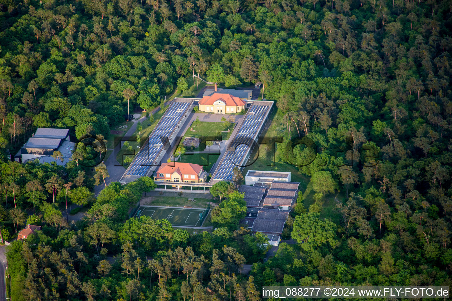 Vue aérienne de École Eugen Neter dans la forêt du quartier de Blumenau à le quartier Sandhofen in Mannheim dans le département Bade-Wurtemberg, Allemagne