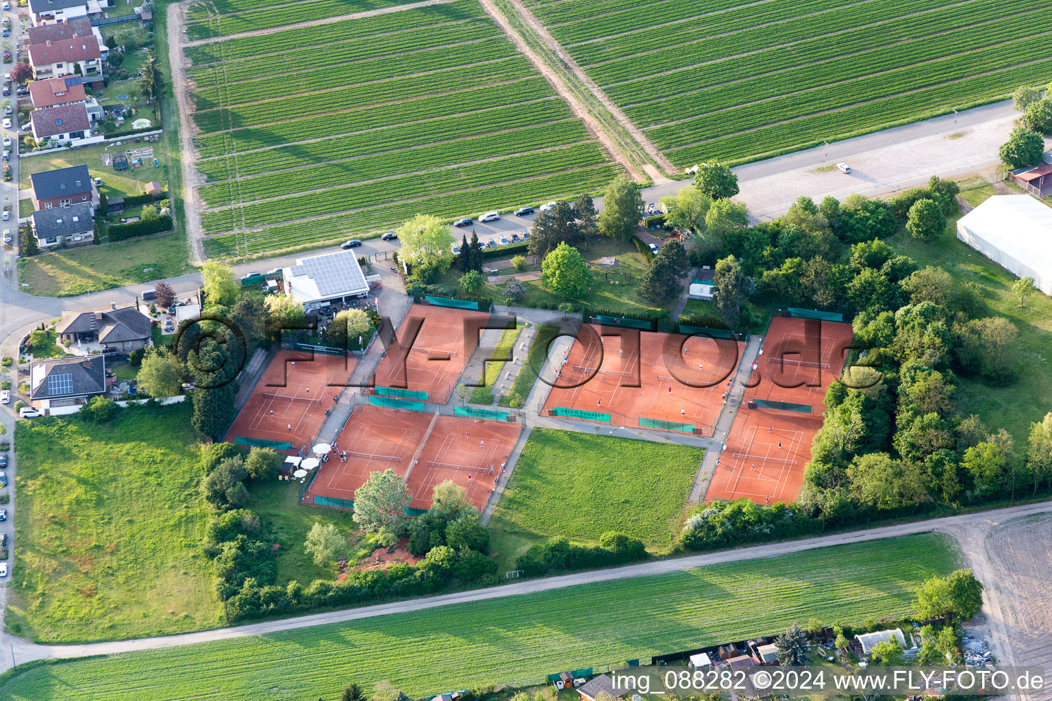 Vue aérienne de Terrain de tennis du club de tennis Rot-Weiss à Lampertheim dans le département Hesse, Allemagne