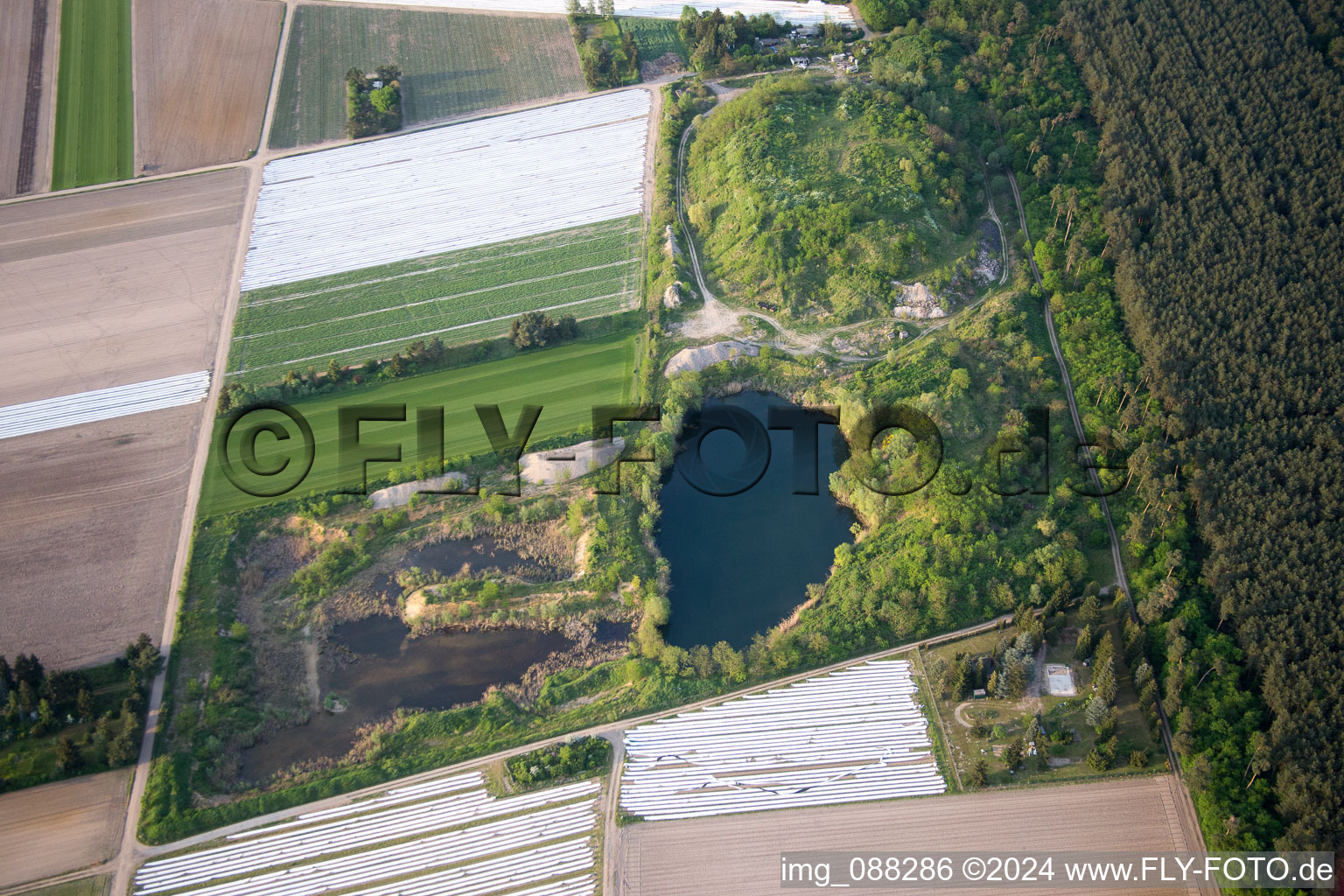 Vue aérienne de Biotope à le quartier Neuschloß in Lampertheim dans le département Hesse, Allemagne