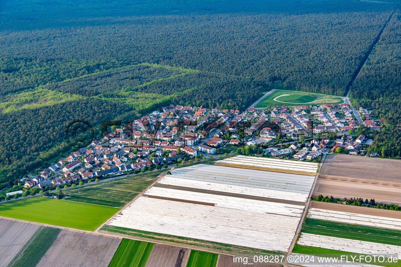 Vue aérienne de Du sud à le quartier Neuschloß in Lampertheim dans le département Hesse, Allemagne