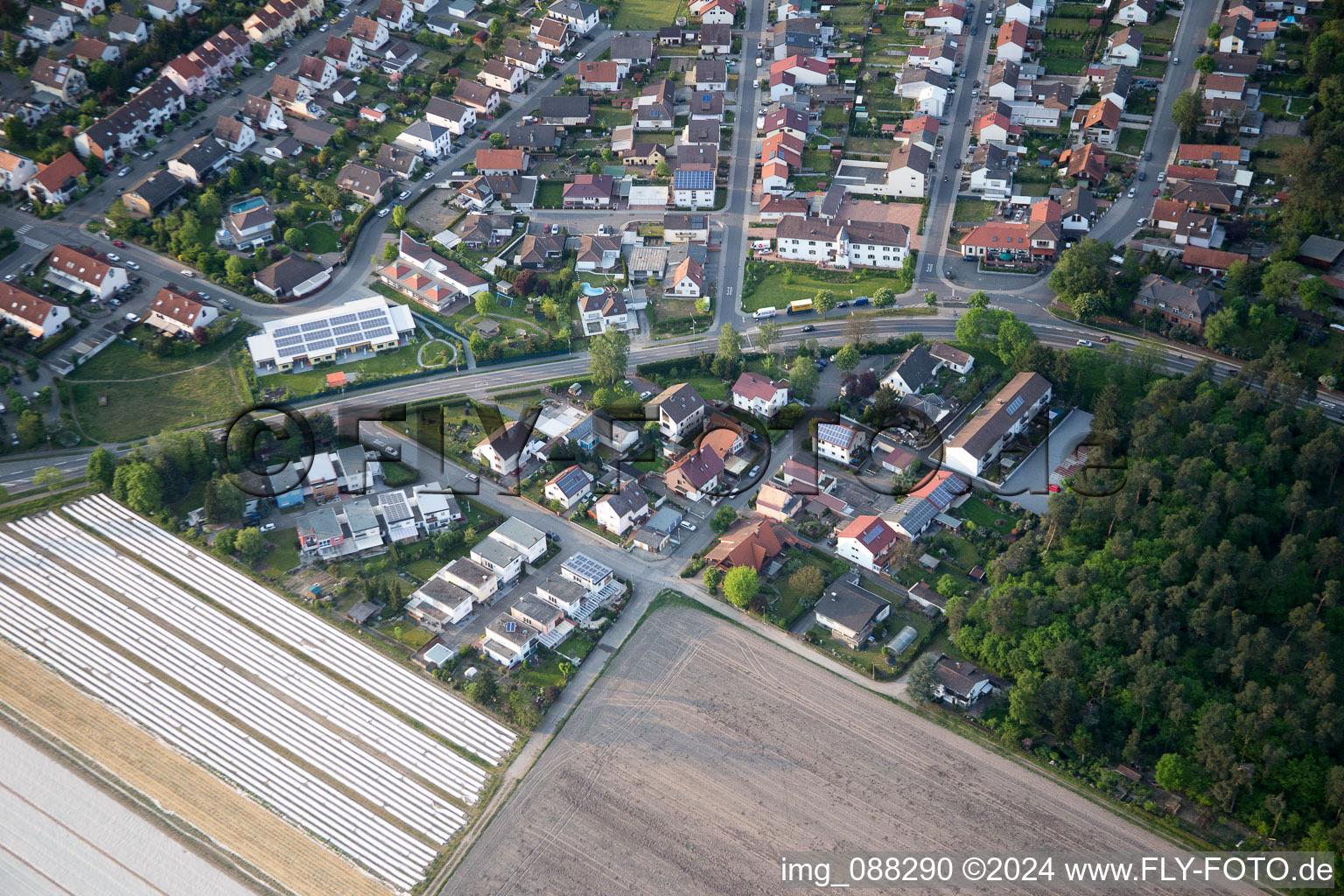 Vue aérienne de Chemin des bouleaux à le quartier Neuschloß in Lampertheim dans le département Hesse, Allemagne