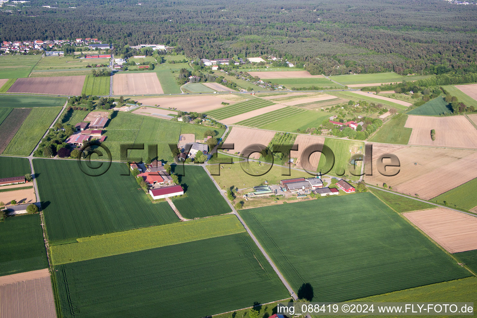 Vue aérienne de Pfungstadt dans le département Hesse, Allemagne