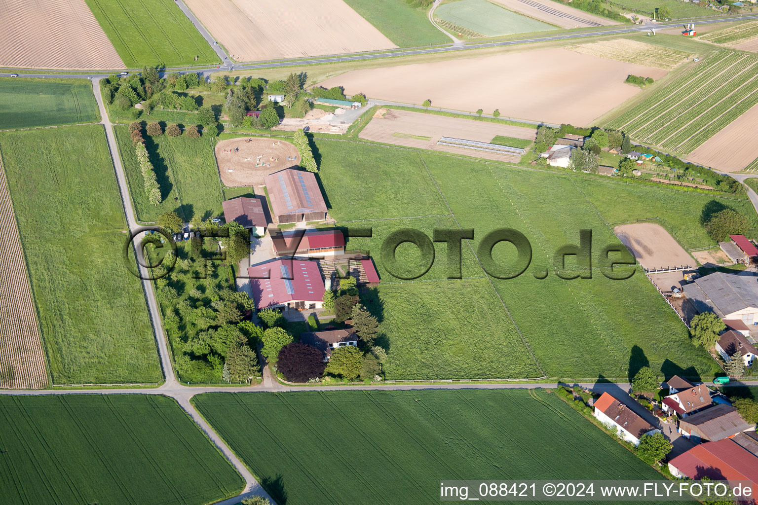 Photographie aérienne de Pfungstadt dans le département Hesse, Allemagne