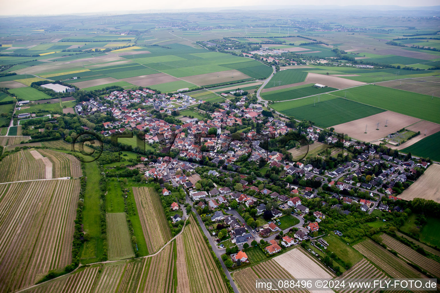 Vue aérienne de Dexheim dans le département Rhénanie-Palatinat, Allemagne