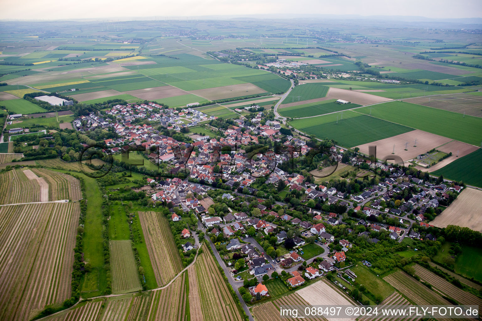 Vue aérienne de Vue sur le village à Dexheim dans le département Rhénanie-Palatinat, Allemagne