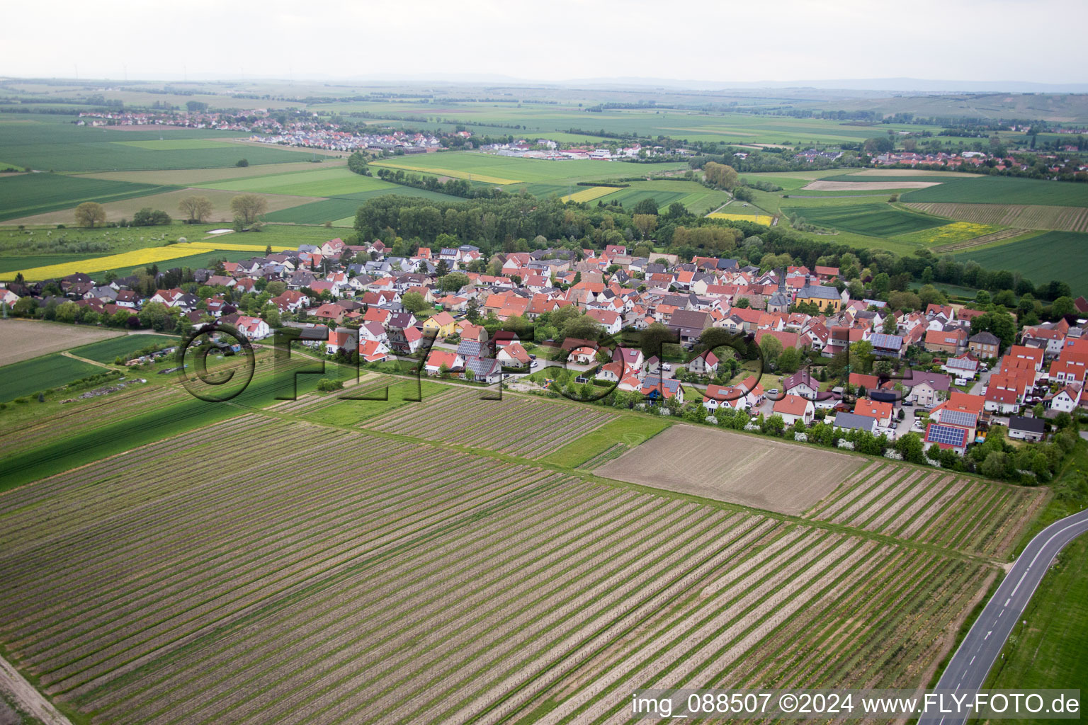 Vue aérienne de Hesse rhénane à Friesenheim dans le département Rhénanie-Palatinat, Allemagne