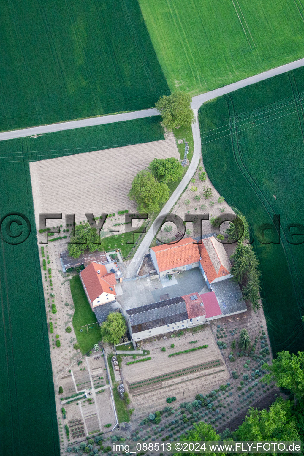 Vue aérienne de Bechtolsheim dans le département Rhénanie-Palatinat, Allemagne